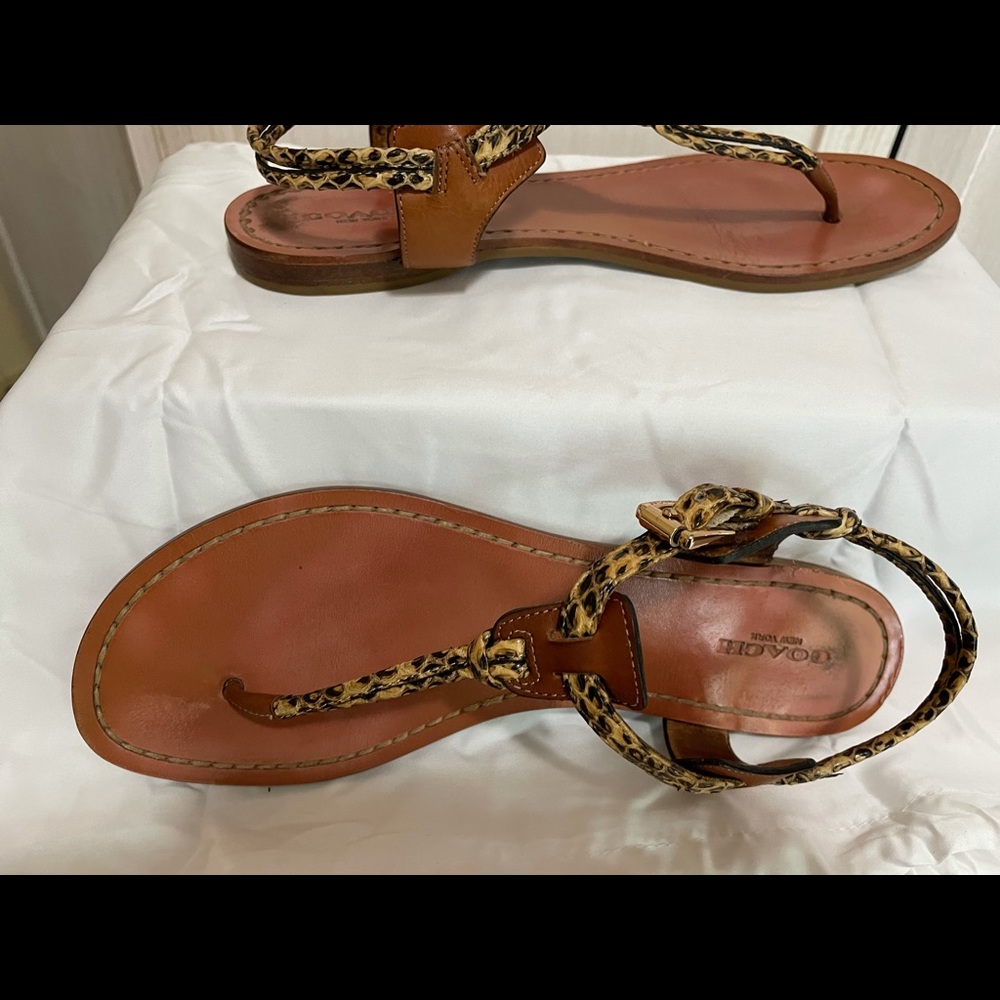 Coach Clarkson Python Flat Sandals - image 8